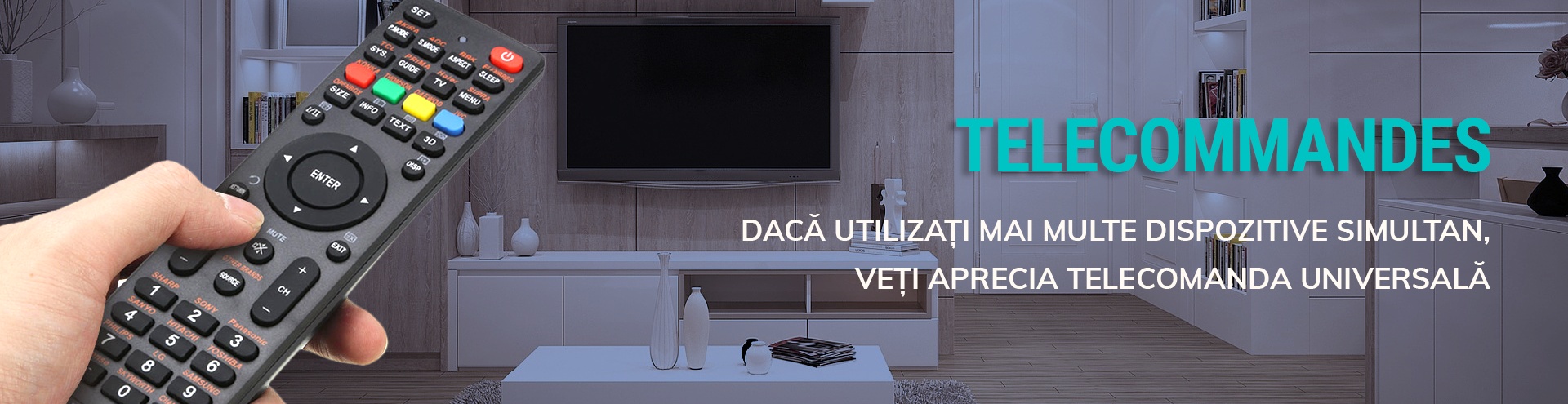 Televizor telecomenzi